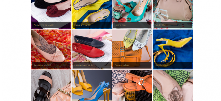Информация о Сеть обувных магазинов "Lisette"