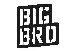 Логотип BigBro