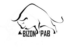 Логотип Паб " Bizion"